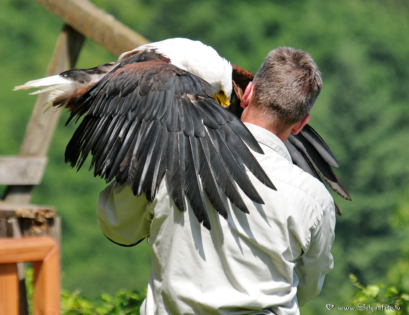 Burg Guttenberg. Deutschland.