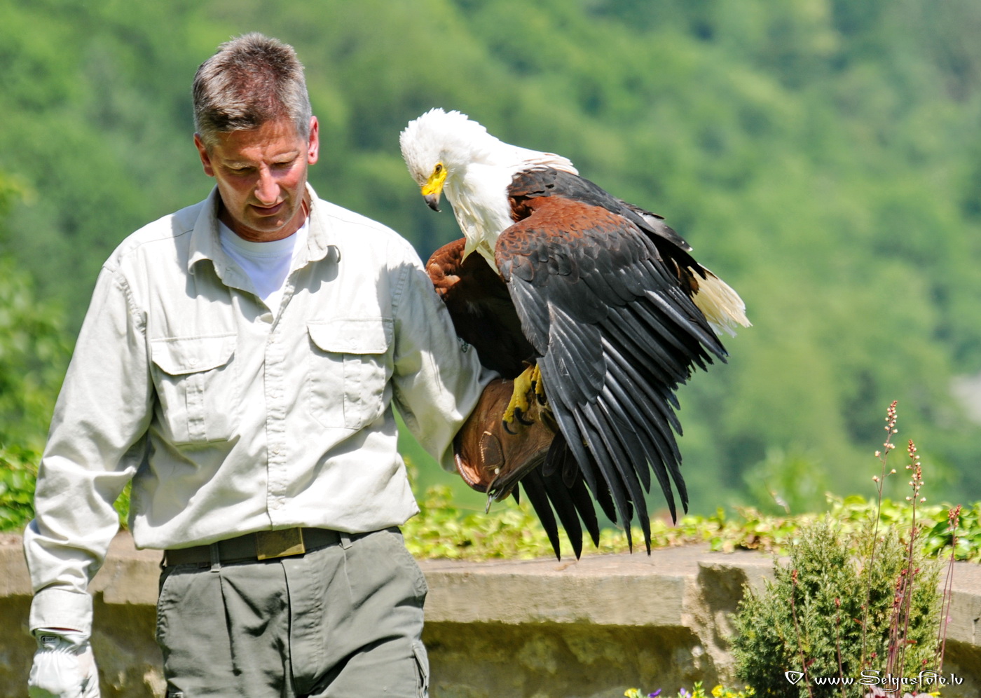 Burg Guttenberg. Deutschland.