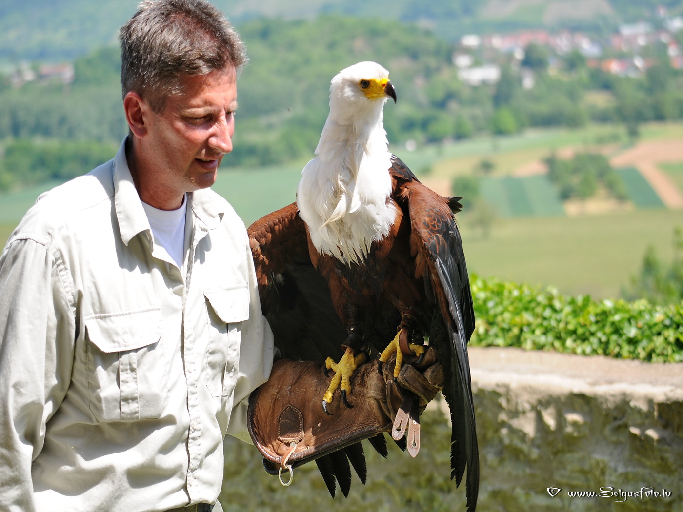 Burg Guttenberg. Deutschland.
