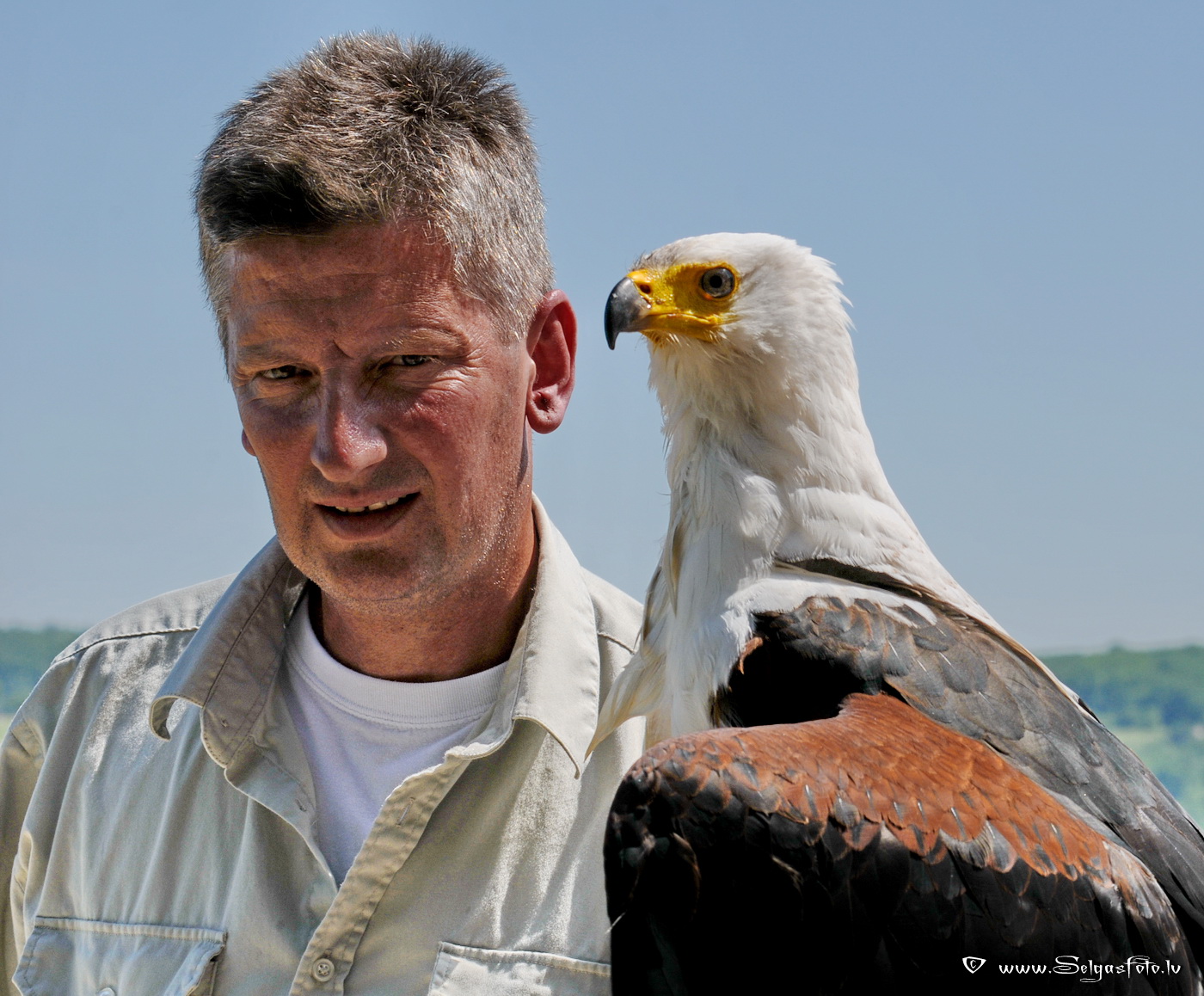Burg Guttenberg. Deutschland.