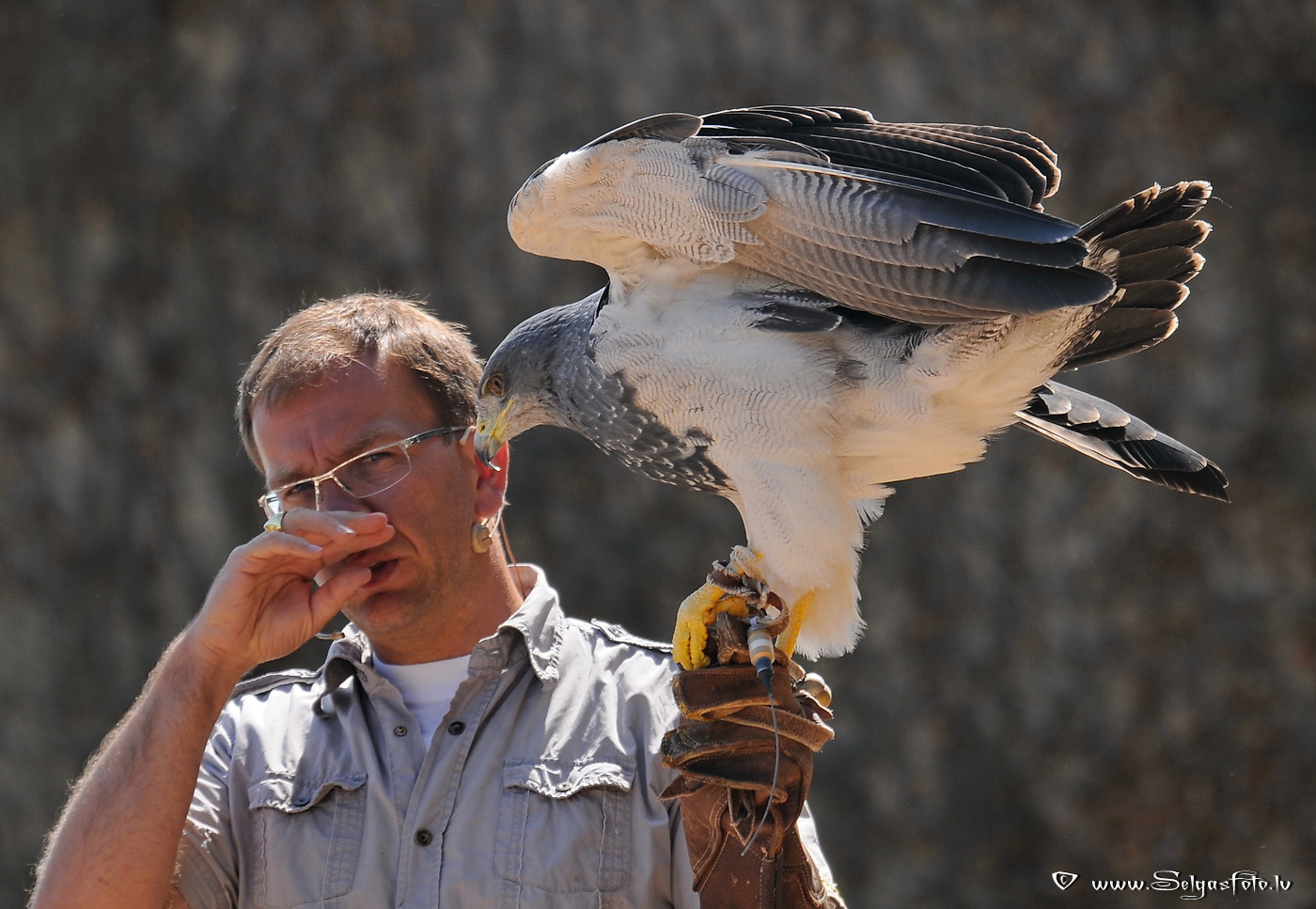 Burg Guttenberg. Deutschland.