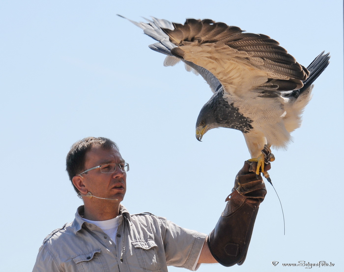 Burg Guttenberg. Deutschland.