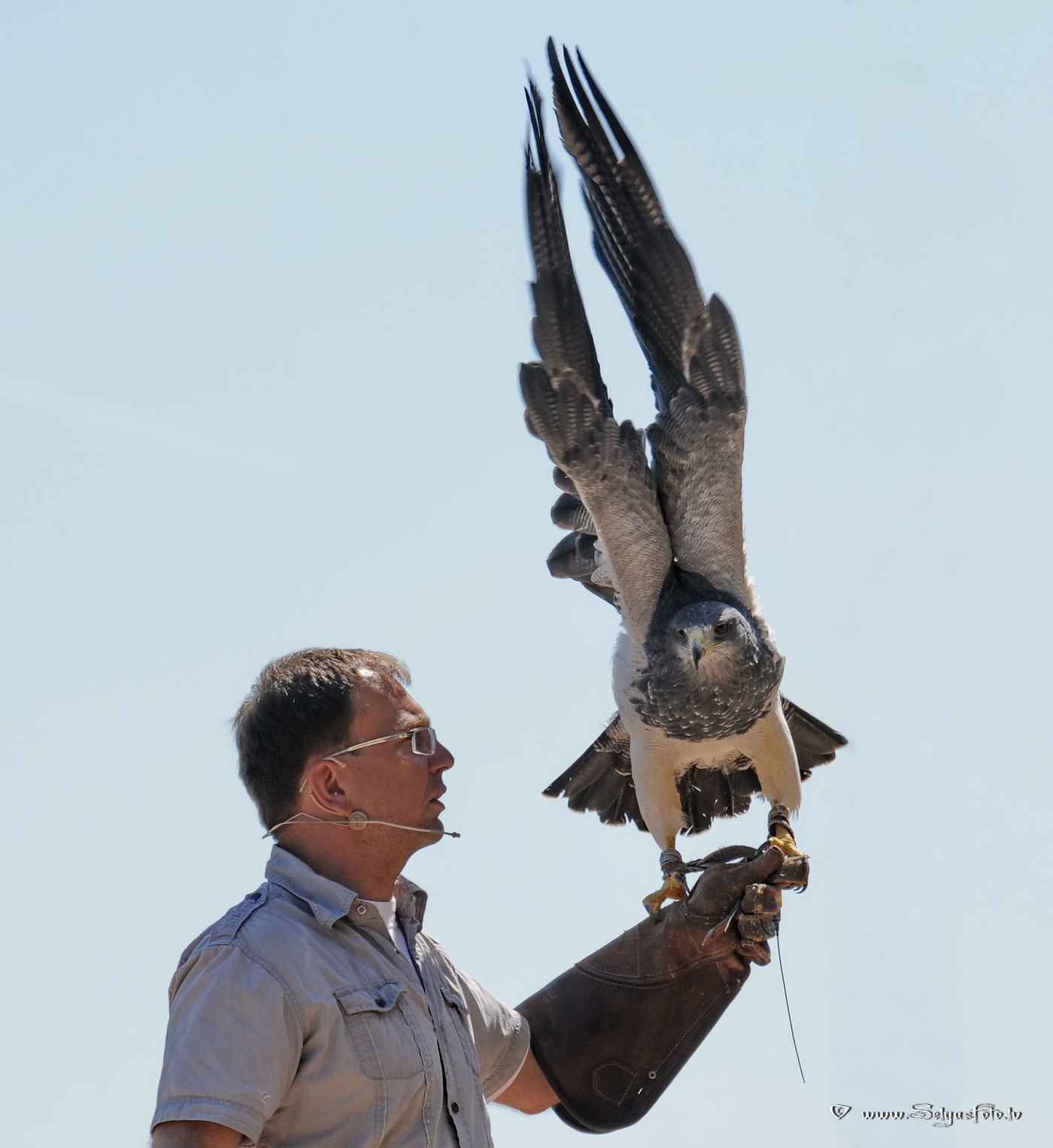 Burg Guttenberg. Deutschland.