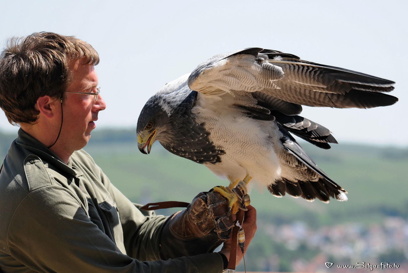 Burg Guttenberg. Deutschland.