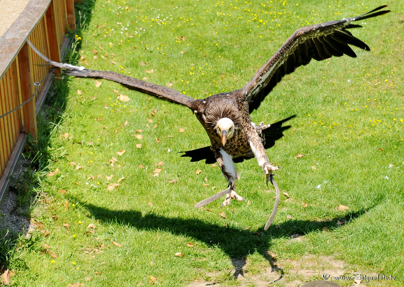 Burg Guttenberg. Deutschland. Burg Guttenberg. Deutschland.