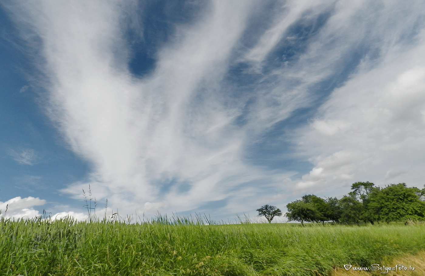 Wollenberg. Deutschland.