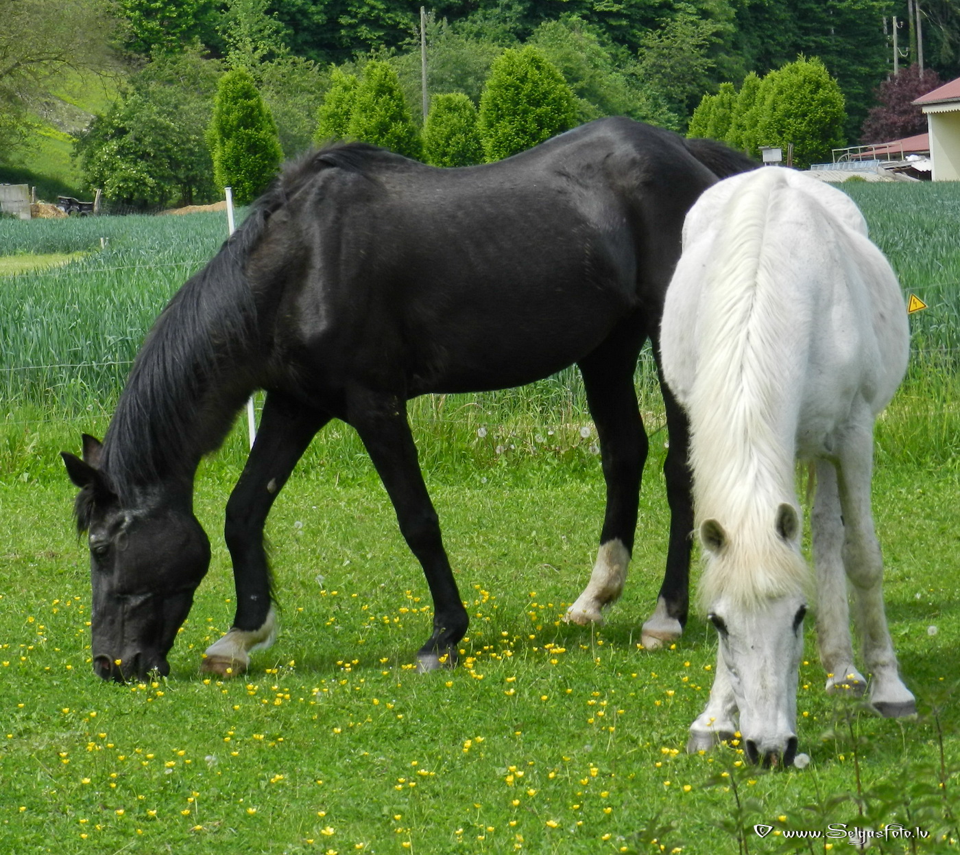 Wollenberg. Deutschland.
