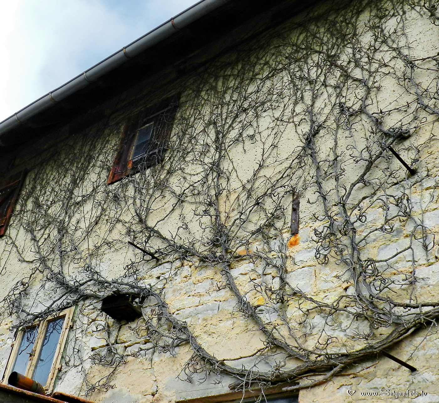 Hüffenhardt. Deutschland.