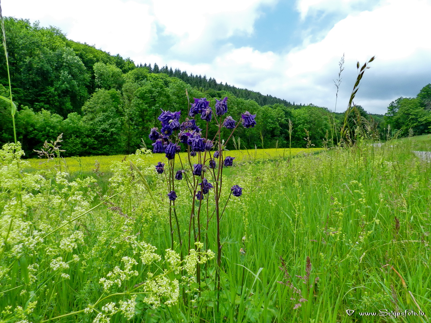 Hüffenhardt. Deutschland.