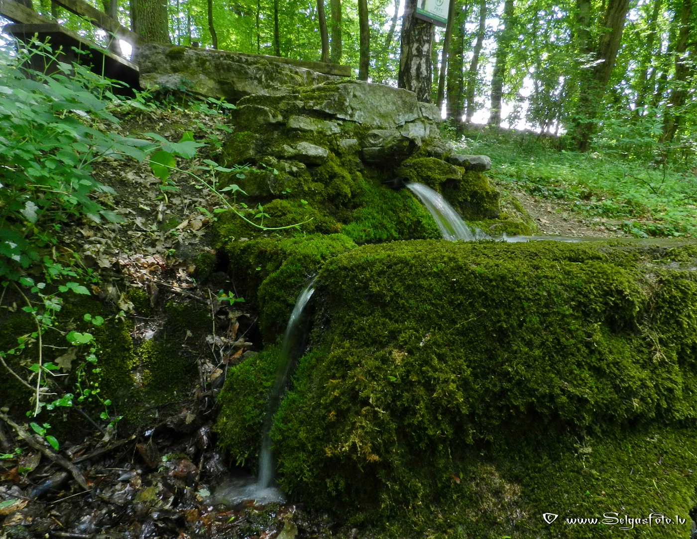 Hüffenhardt. Deutschland.