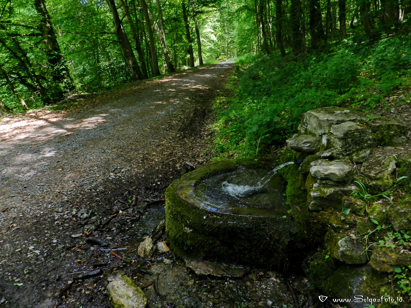 Hüffenhardt. Deutschland.