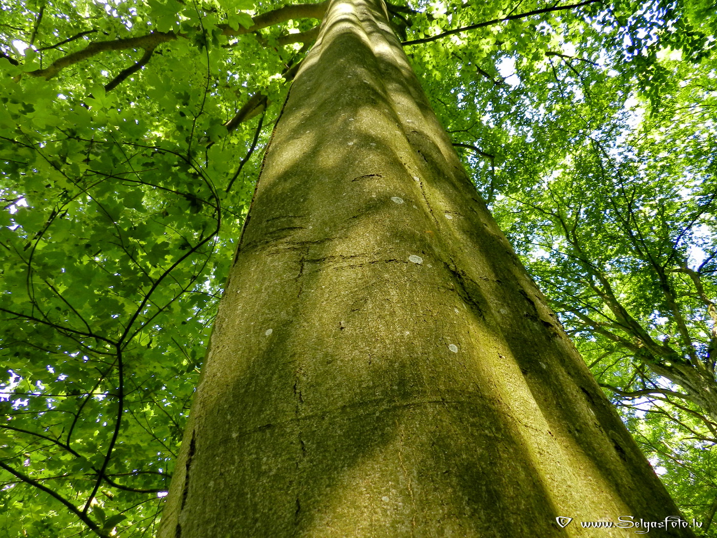 Hüffenhardt. Deutschland.