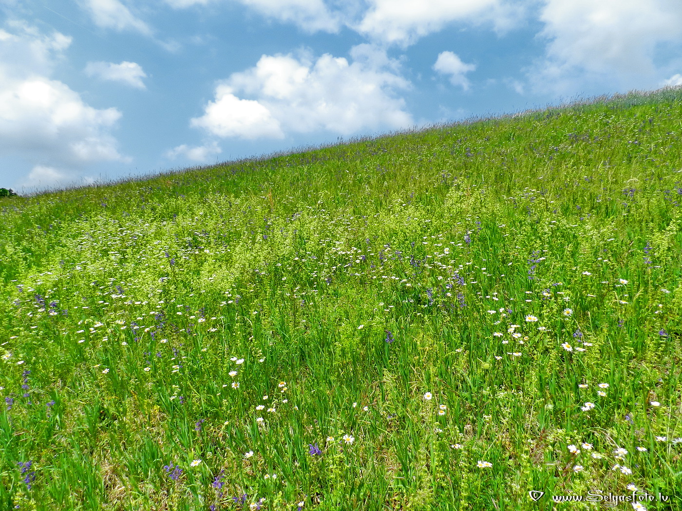 Wollenberg. Deutschland.
