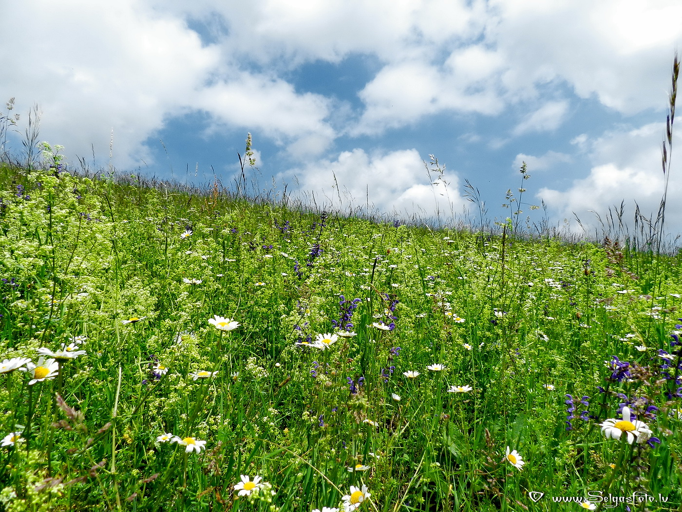 Wollenberg. Deutschland.