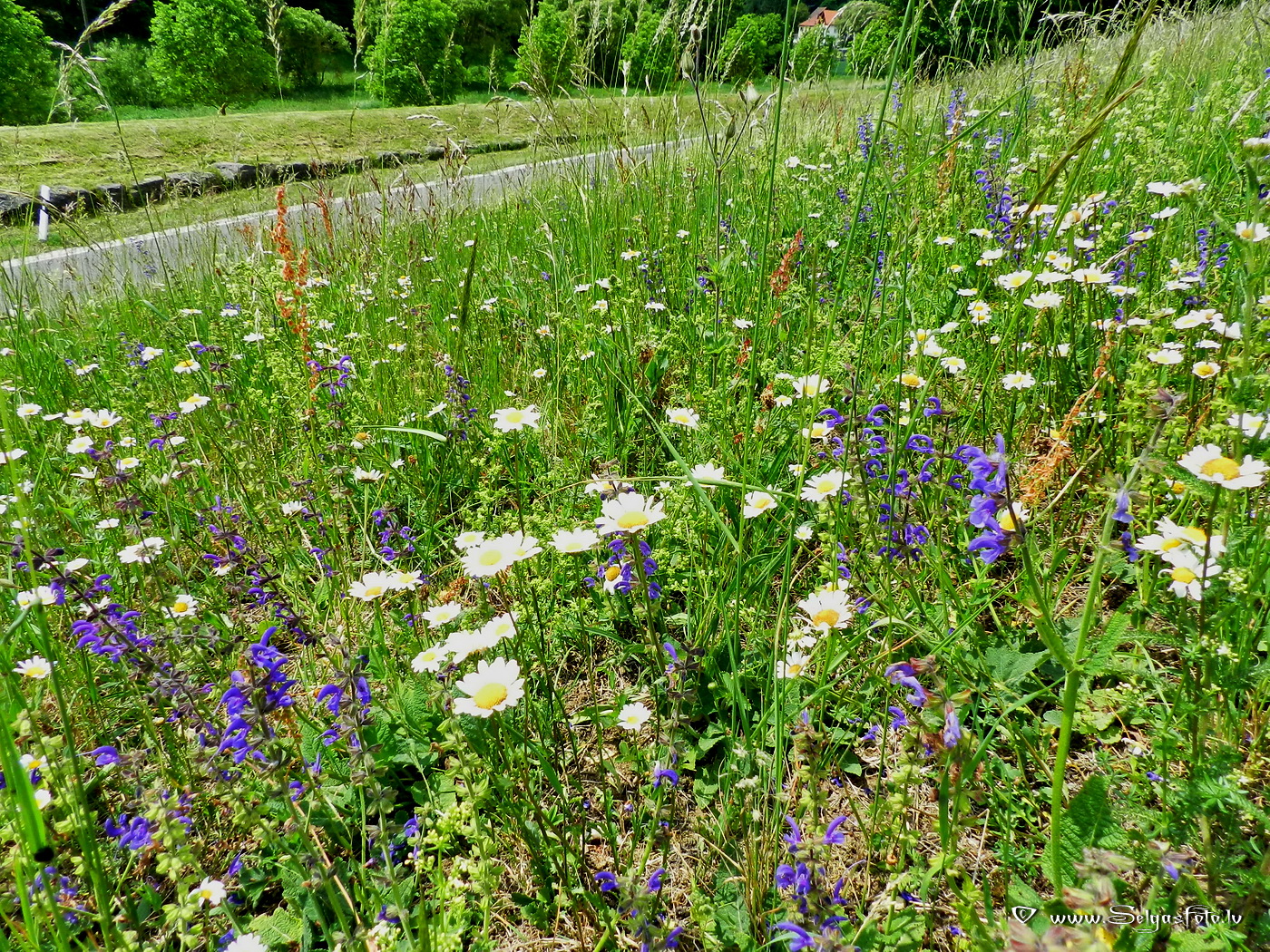 Wollenberg. Deutschland.