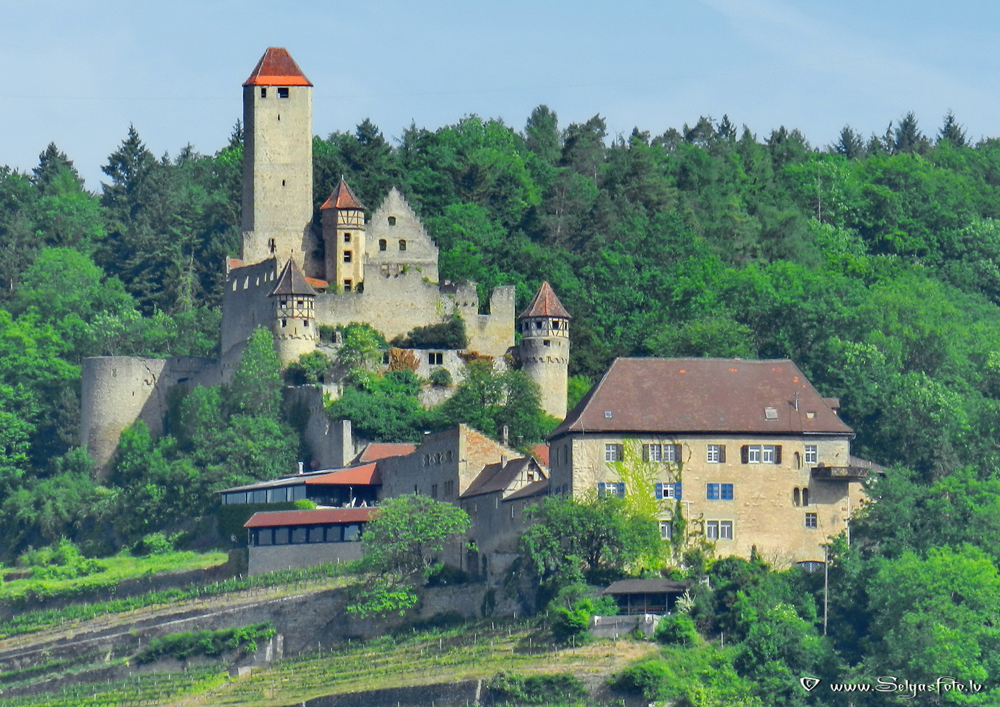 Burg Hornberg. Neckar. De.
