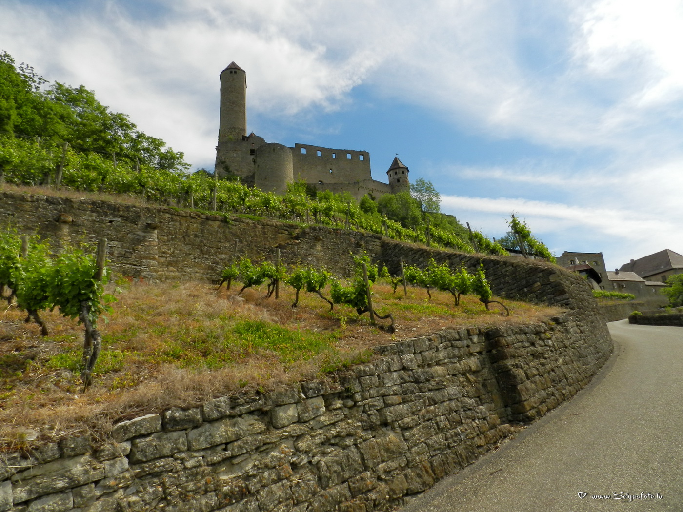Burg Hornberg. Neckar. De.