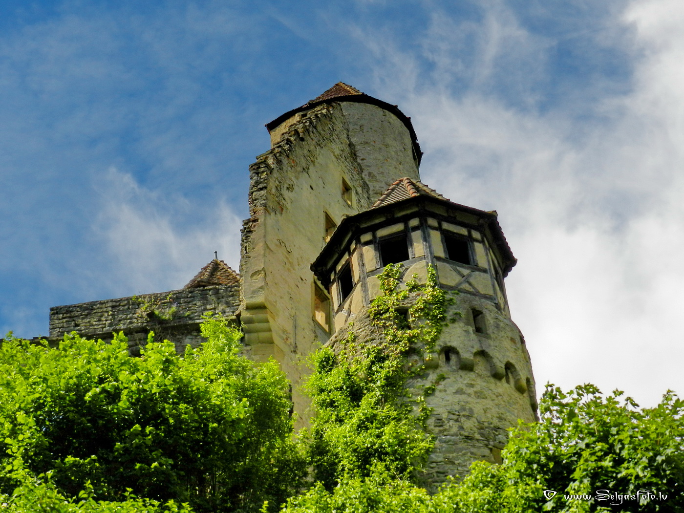 Burg Hornberg. Neckar. De.