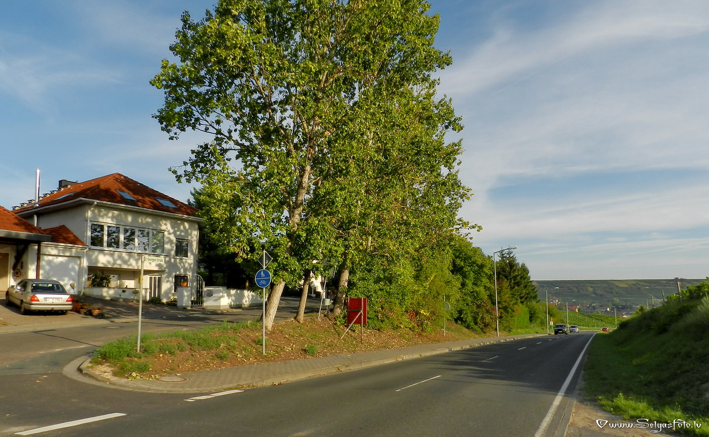 Partenheim. Deutschland.