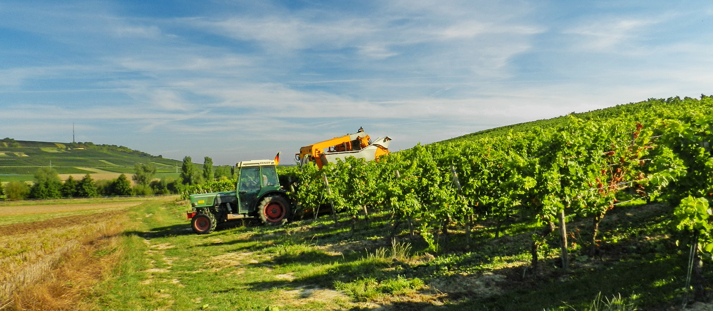 Partenheim. Deutschland.