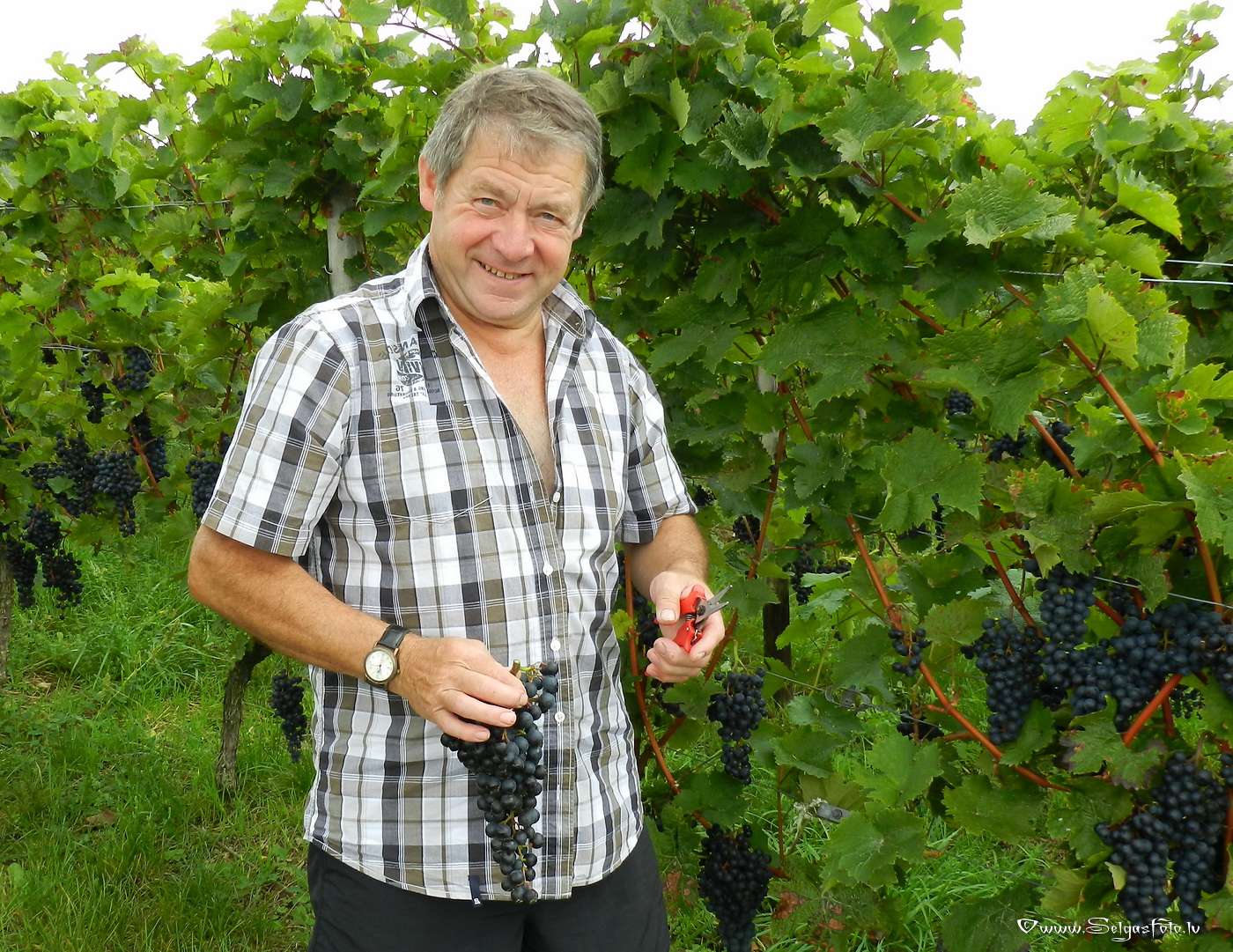 Jugenheim in Rheinhessen. /De/.