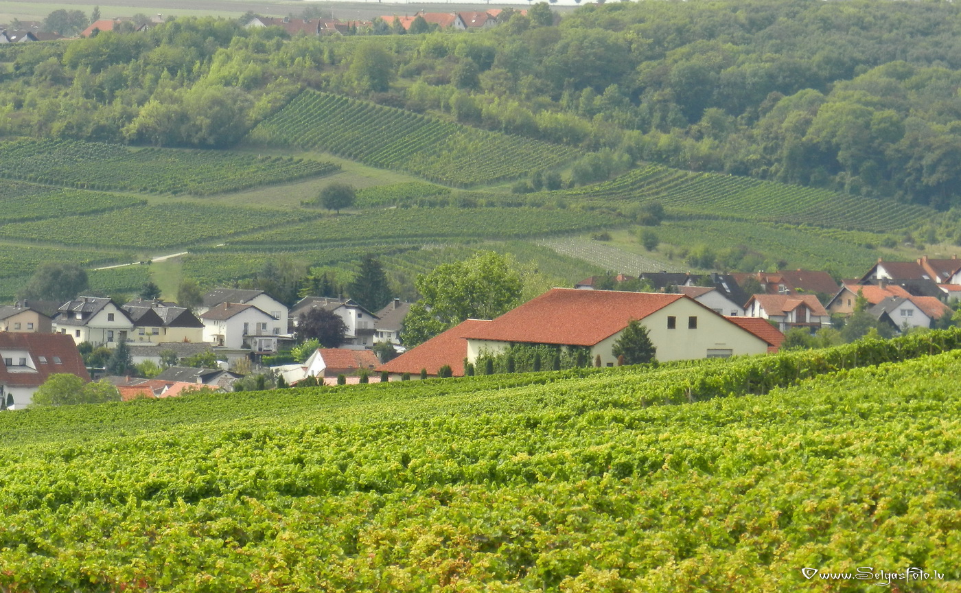 Partenheim. Jugenheim./De/.