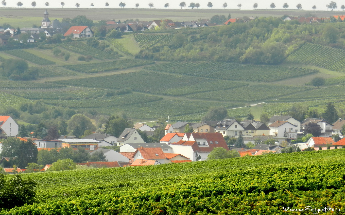 Partenheim. Jugenheim./De/.