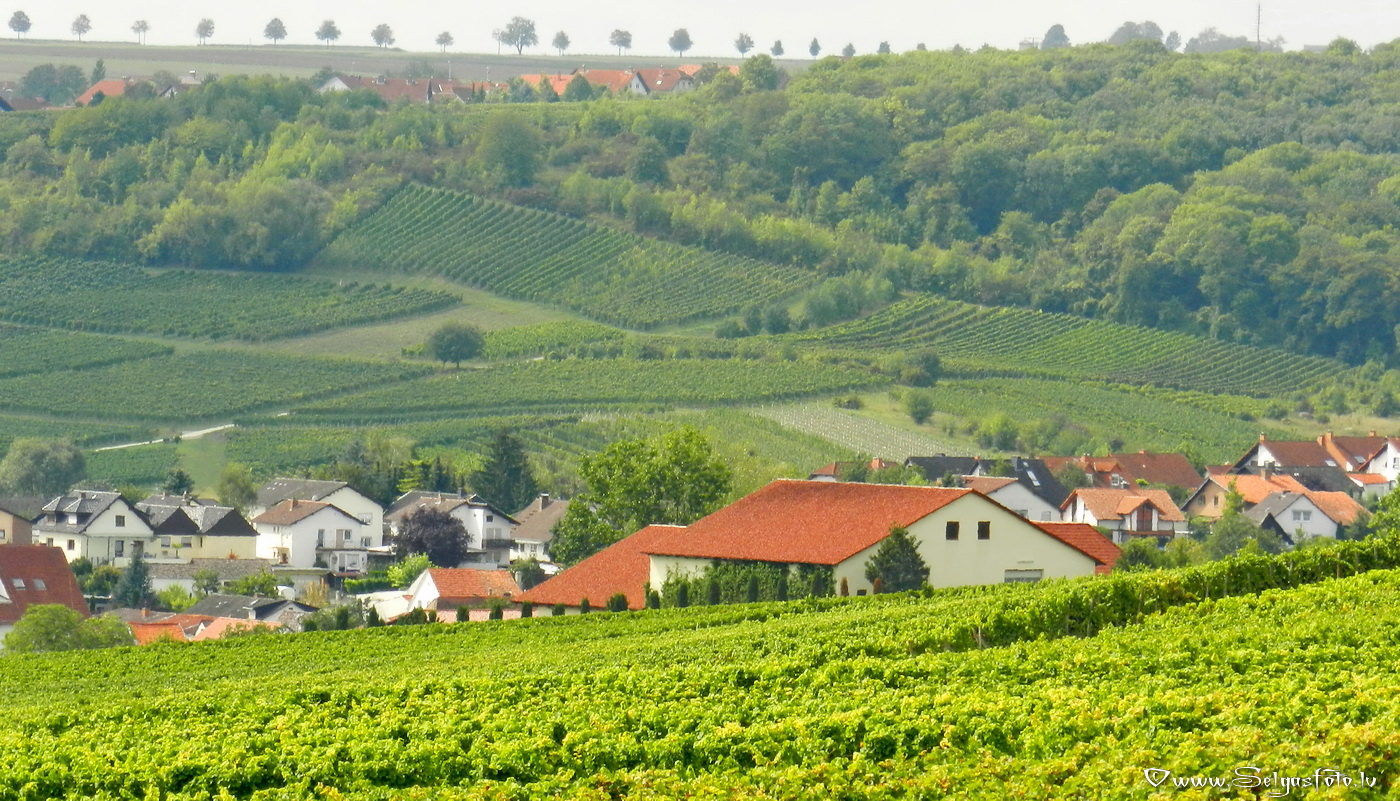 Partenheim. Jugenheim./De/.