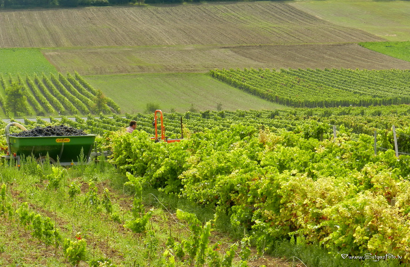 Jugenheim in Rheinhessen. /De/.
