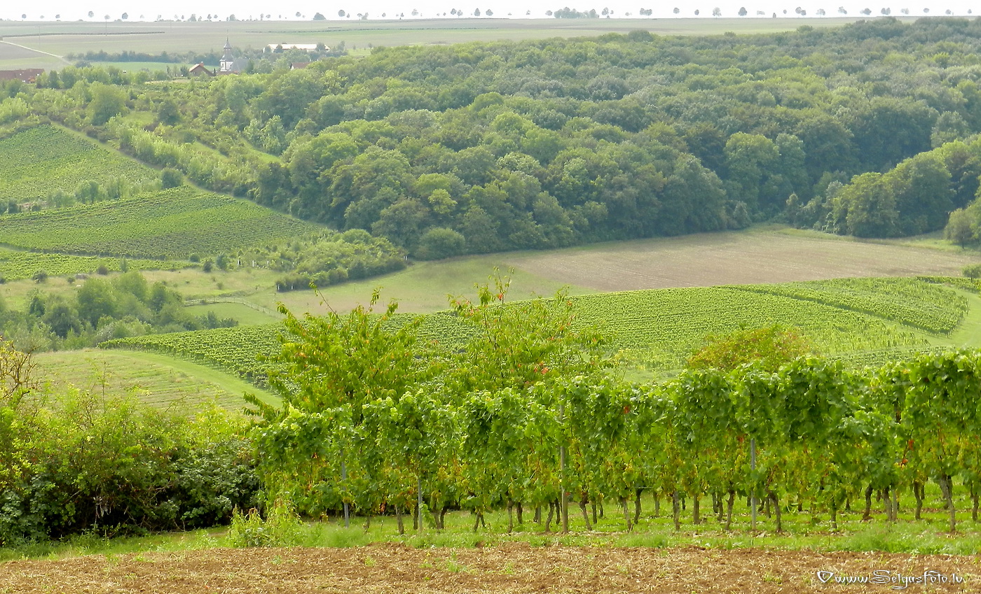 Partenheim. Jugenheim./De/.