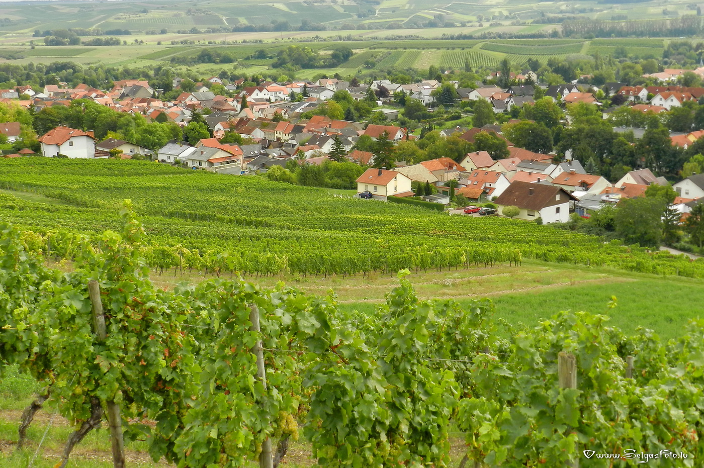 Jugenheim in Rheinhessen. /De/.