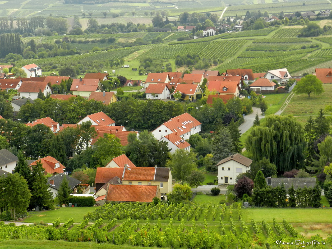 Jugenheim in Rheinhessen. /De/.