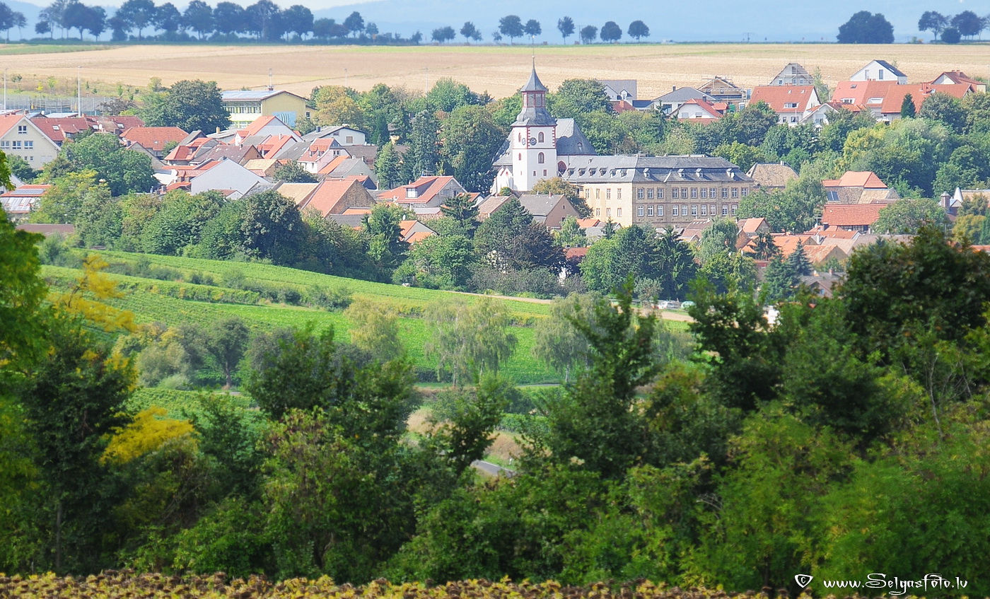 Partenheim. Deutschland.
