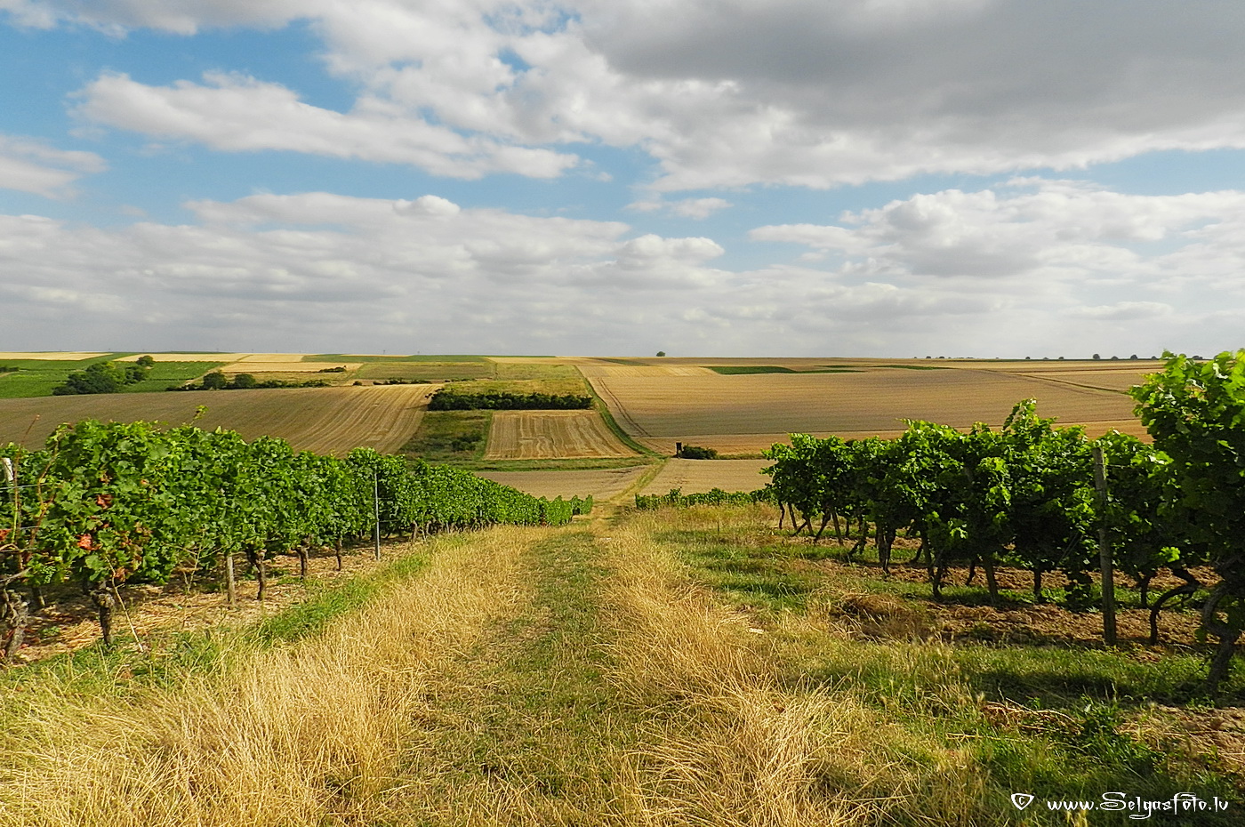 Partenheim. Deutschland.
