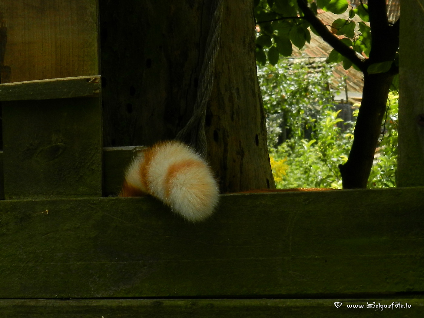 Partenheim. Deutschland.