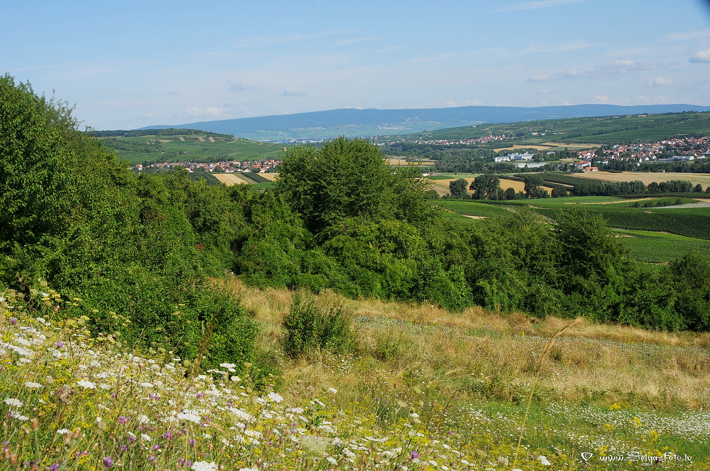 Schwabenheim.Deutschland.