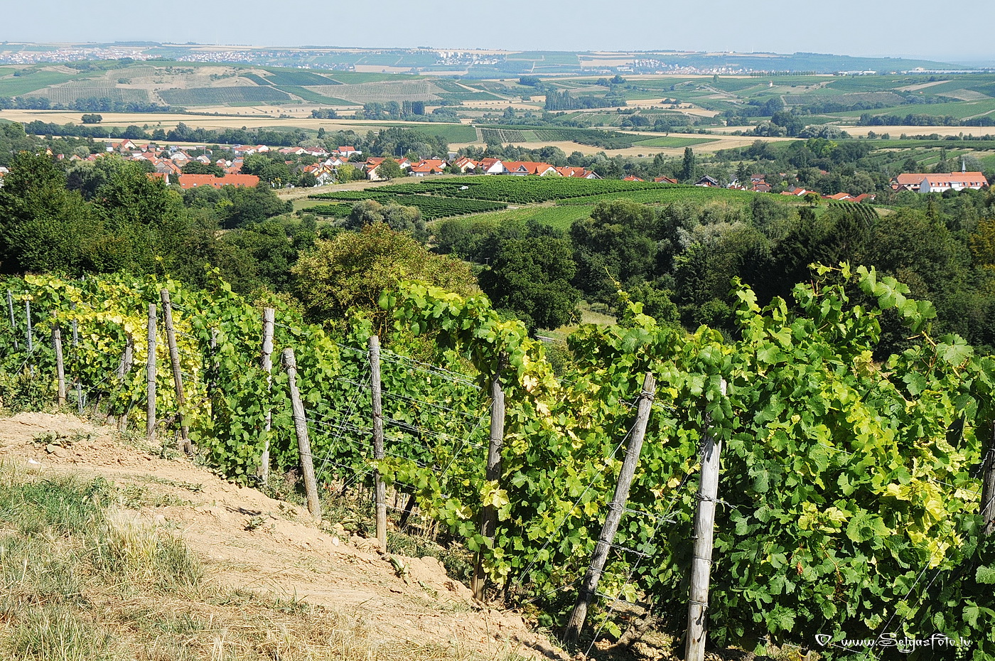 Jugenheim in Rheinhessen/De/.
