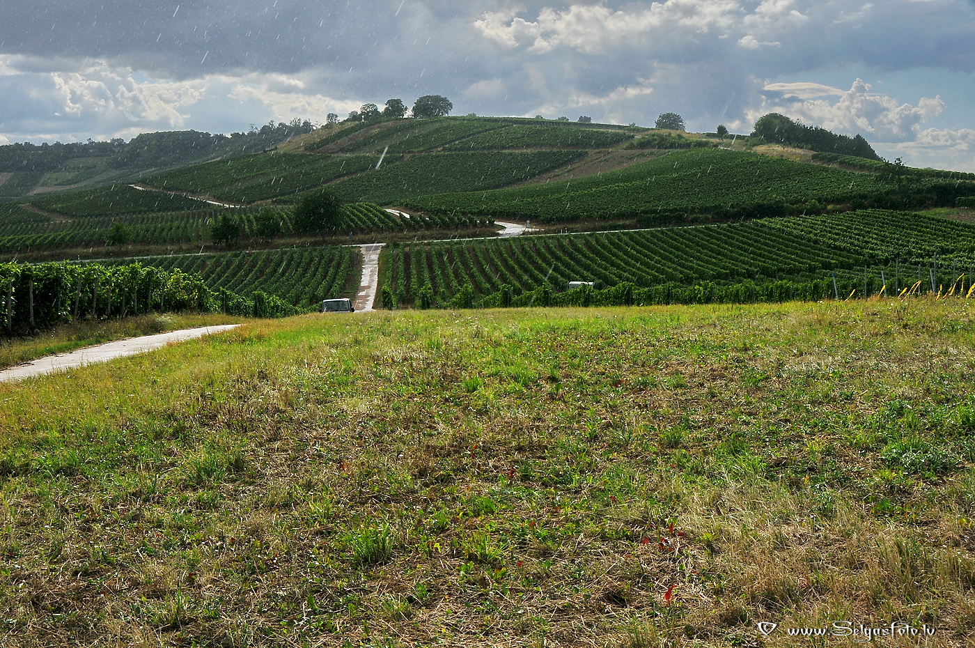 Wolfsheim. Deutschland.