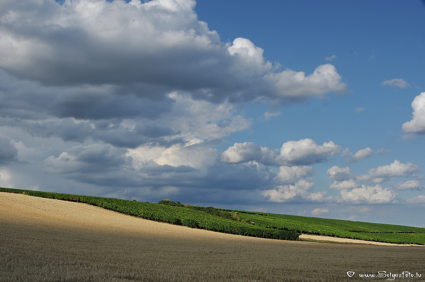 Partenheim. Deutschland.