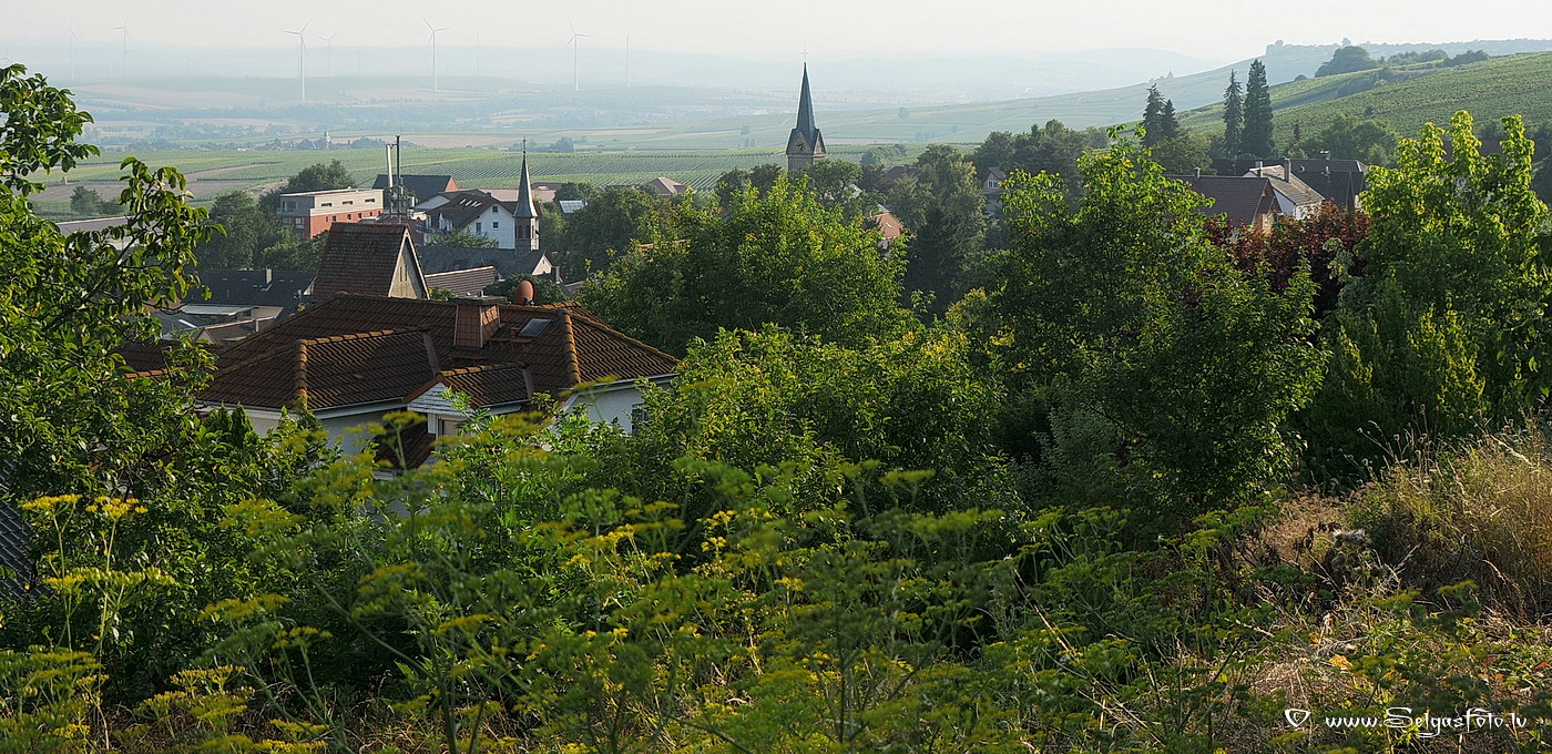 Vendersheim. Deutscland.