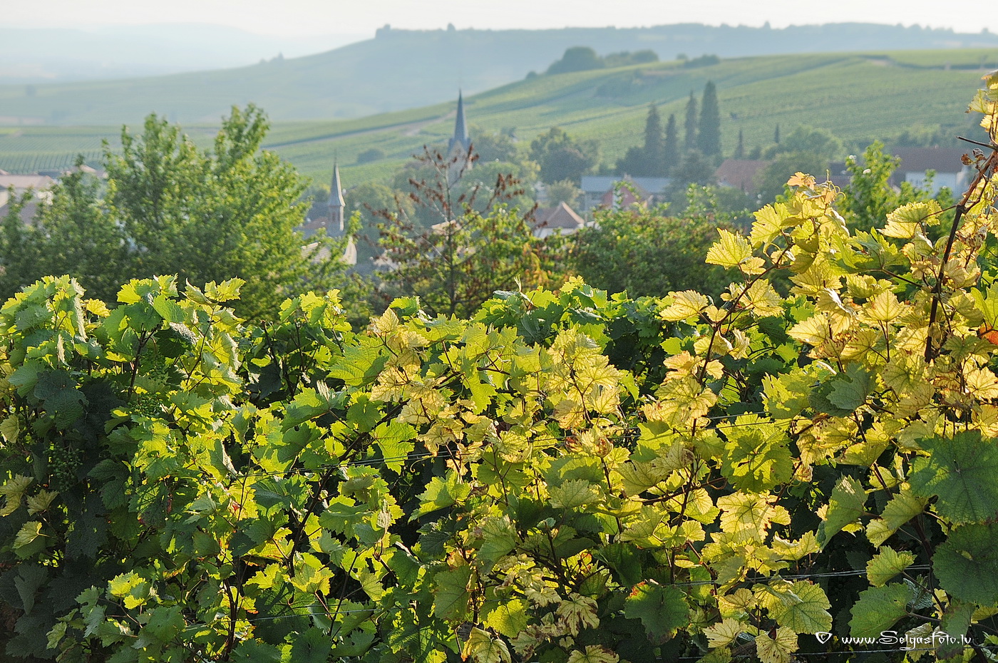 Vendersheim. Deutscland.
