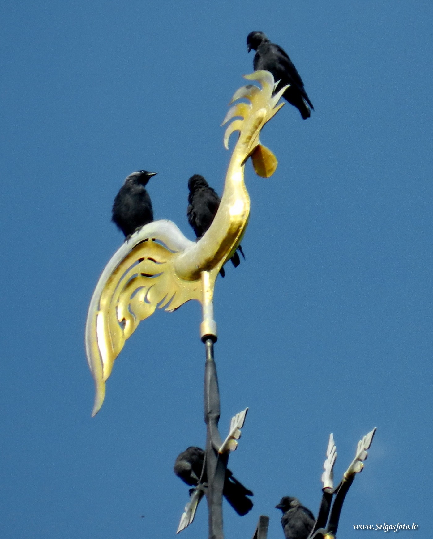 Jugenheim in Rheinhessen/De/