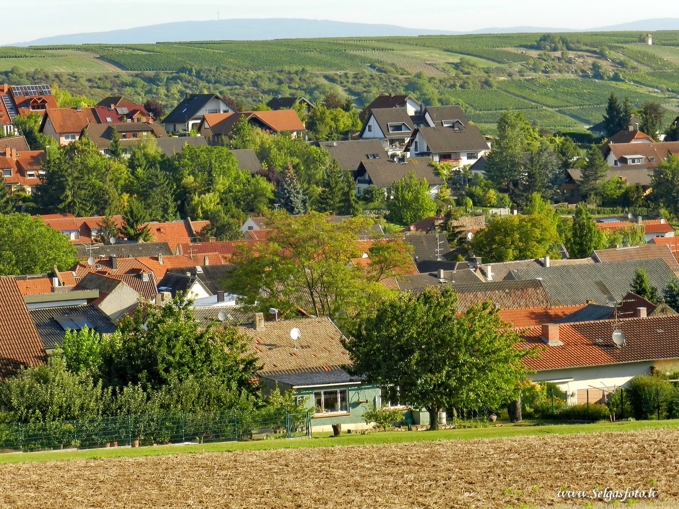 Jugenheim in Rheinhessen./De/.