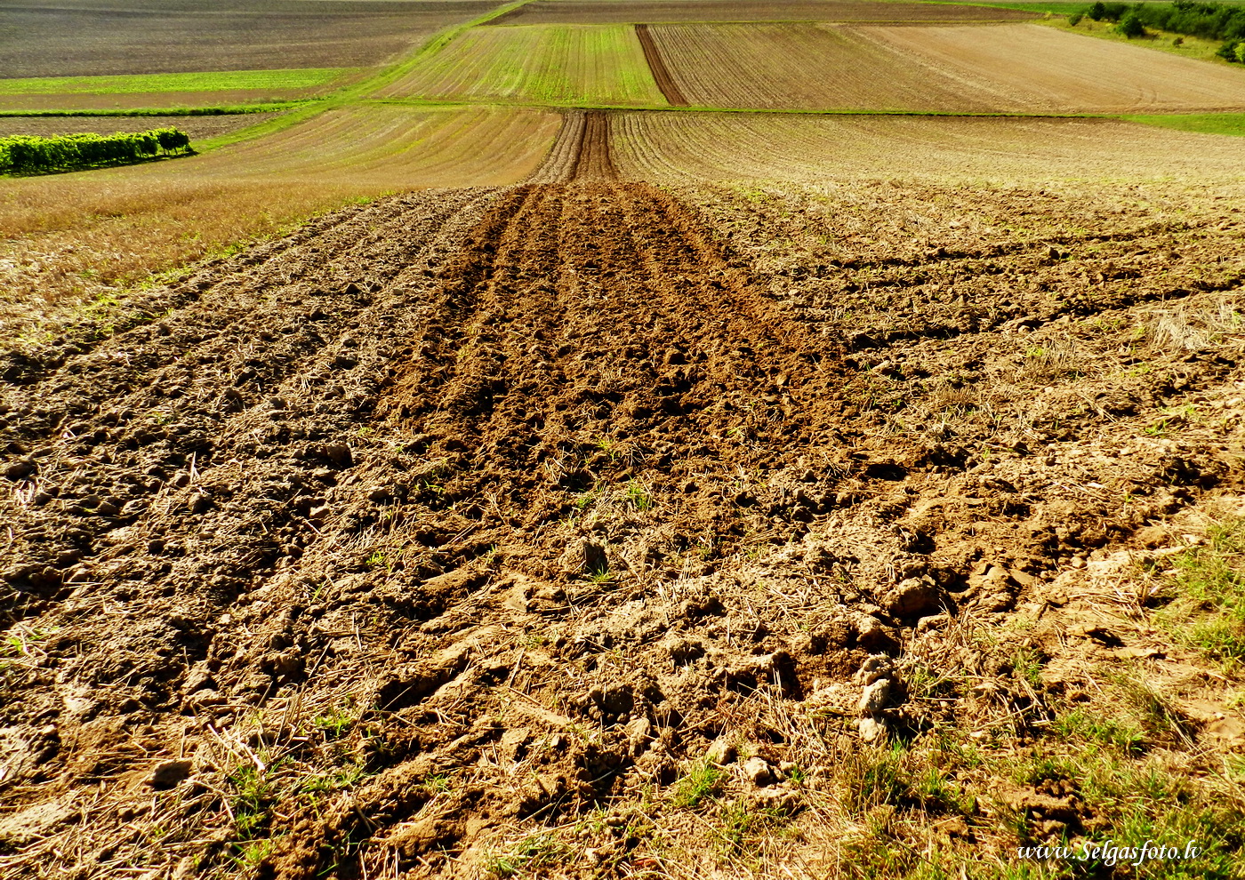 Partenheim. Deutschland.