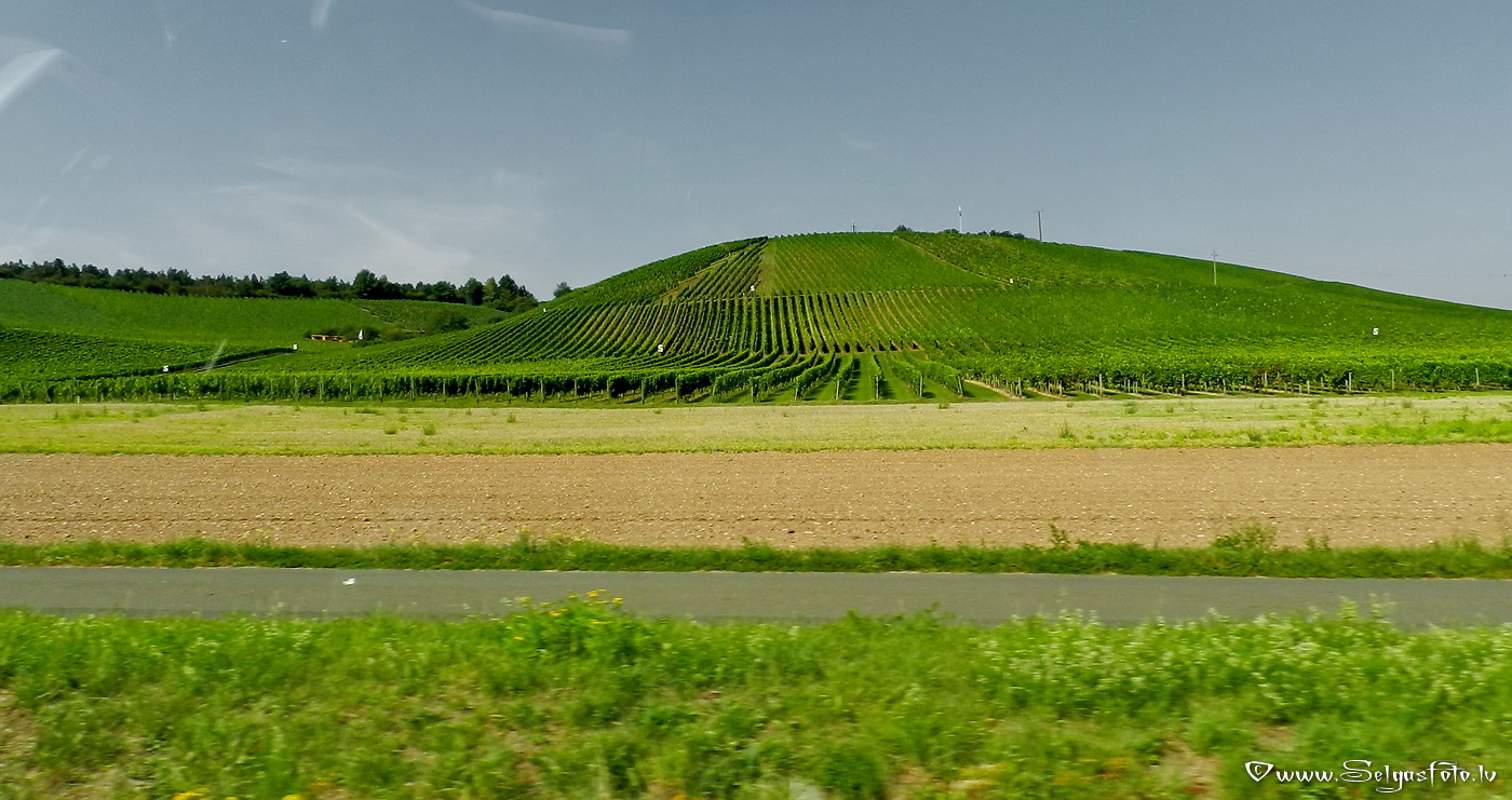 Partenheim. Deutschland.