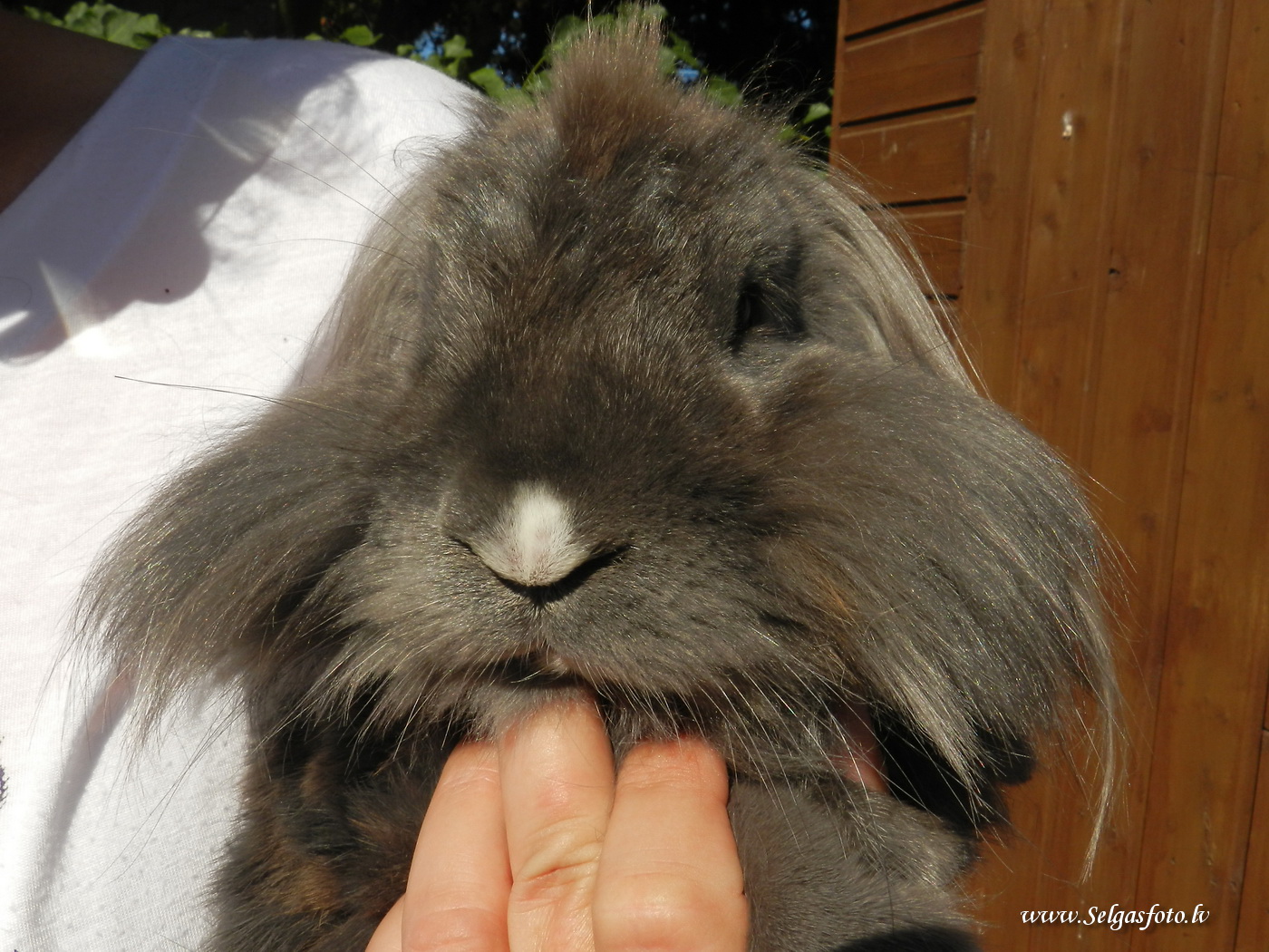Partenheim. Deutschland.