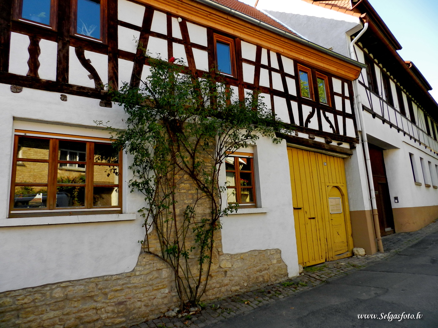 Partenheim. Deutschland.