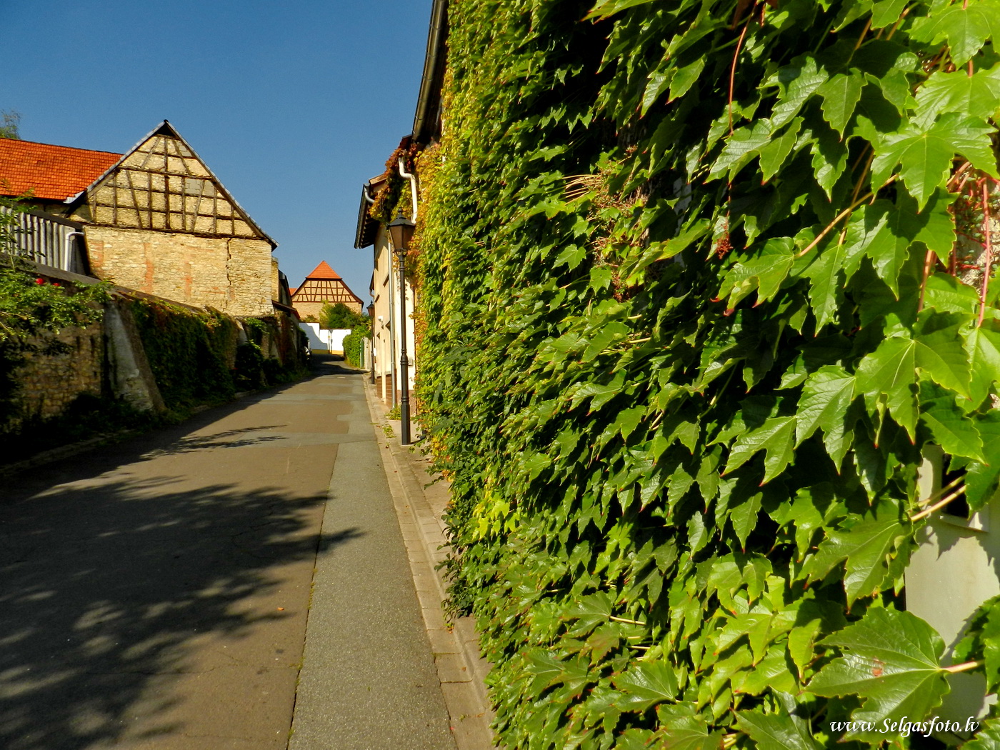 Partenheim. Deutschland.