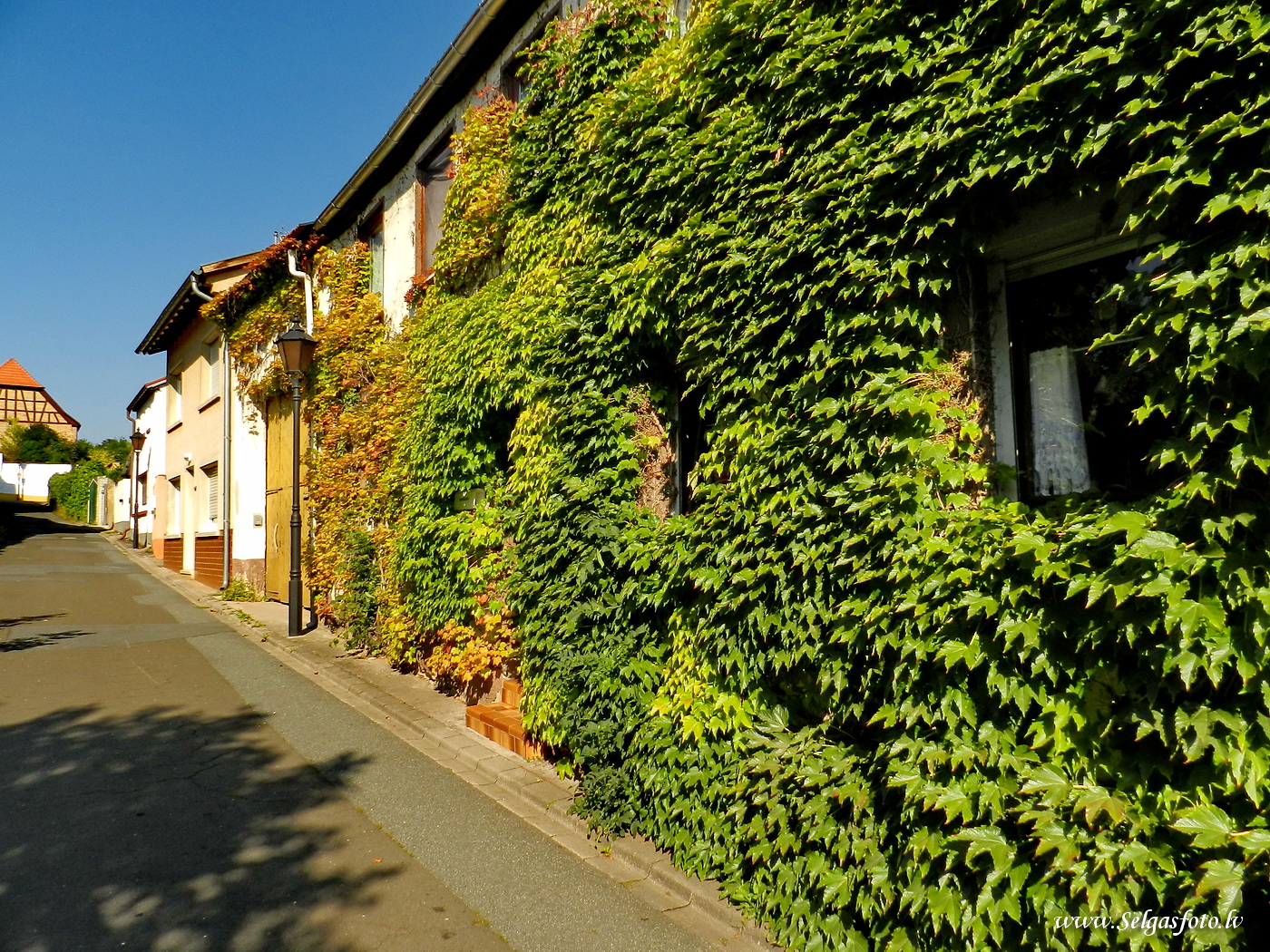 Partenheim. Deutschland.