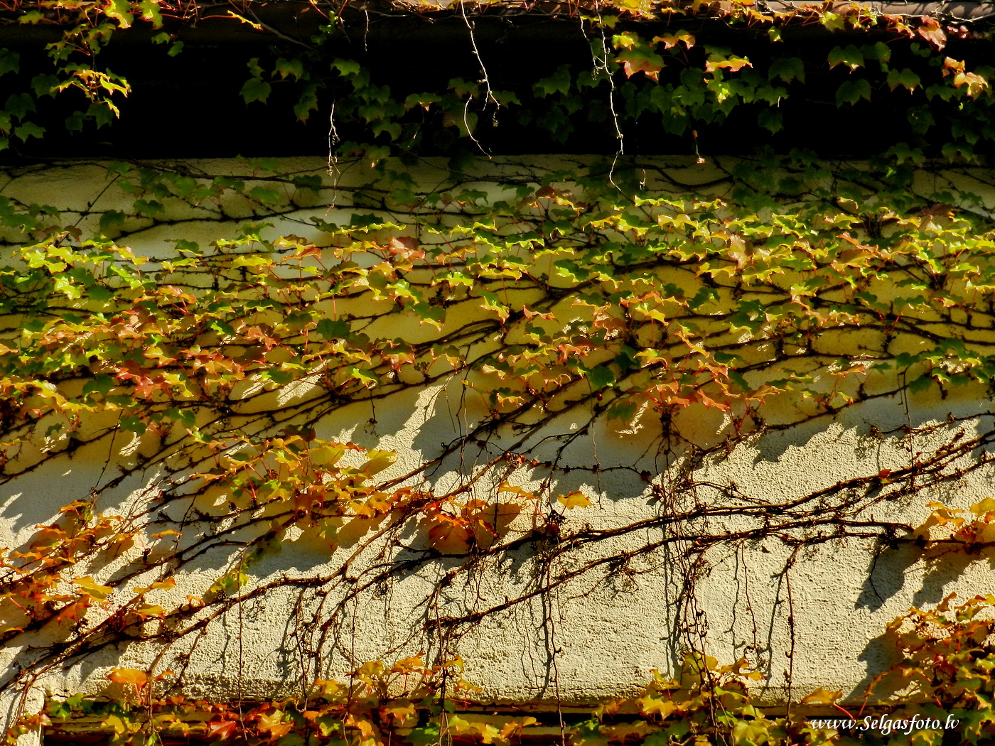 Partenheim. Deutschland.